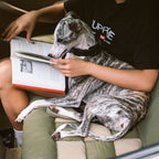 Bilsæde til Hund – Komfortabelt med Sikkerhedsbolster og Skakbrætmønster 8