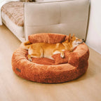 Donut Hundeseng i Blødt Diamond Velvet med Ortopædisk Støtte og Aftagelig Pude 2