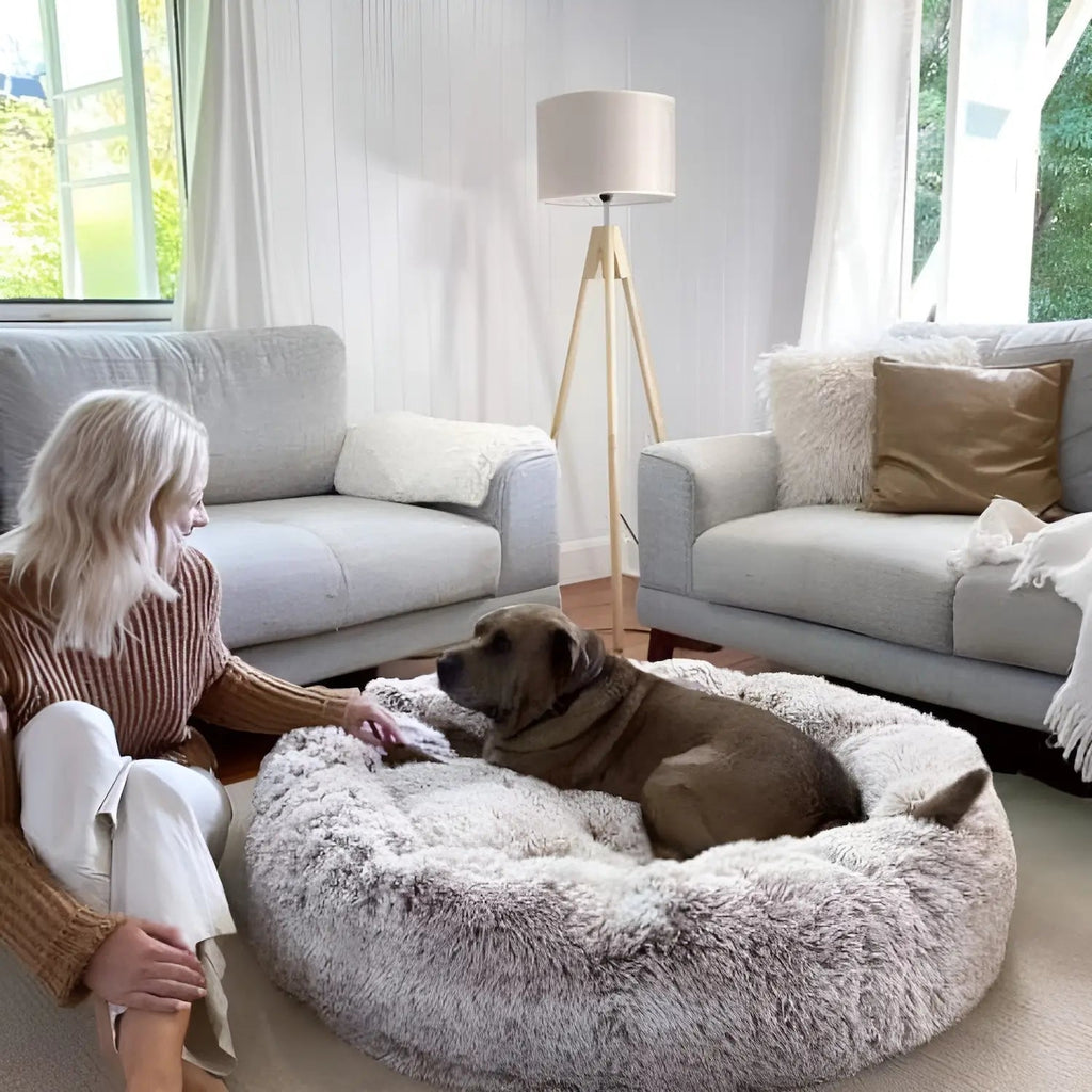 Hundeseng med Anti-Angst Funktion – Komfort og Tryghed til Hunde i Forskellige Størrelser 2