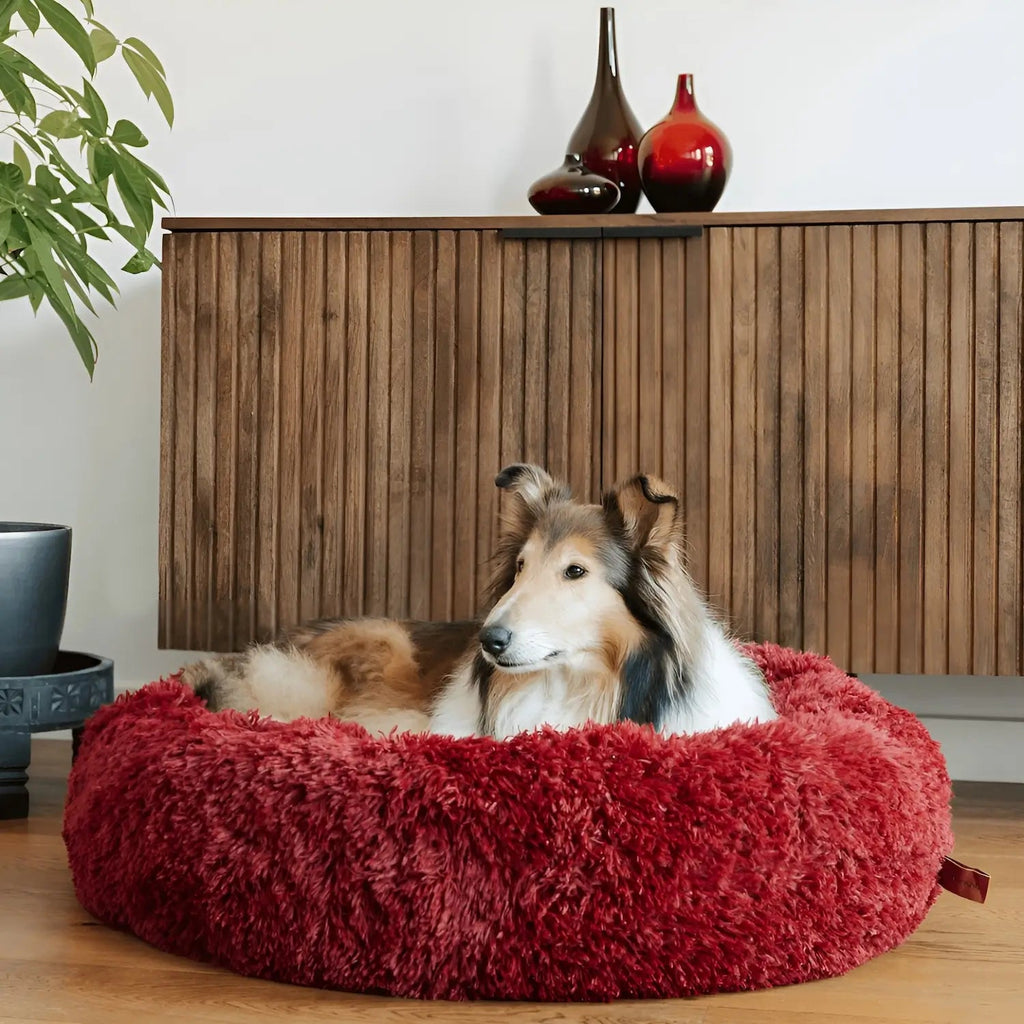 Hundeseng med Anti-Angst Funktion – Komfort og Tryghed til Hunde i Forskellige Størrelser 5
