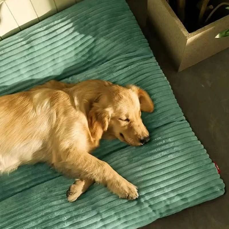 Ortopædisk Hundeseng med Blød Ledstøtte og Komfortabel Polstring 3
