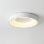 Stilren Farvet Loftlampe - Metal og Acryl Justerbar Dæmpbar 1
