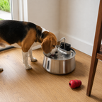 Vandfontæne til Hunde i Rustfrit Stål – 4L og 7L Kapacitet 2